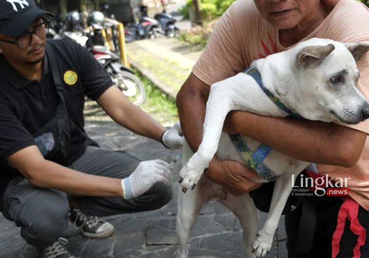 Cakupan Vaksinasi Rabies Anjing dan Kucing di Jakarta Terus Ditingkatkan