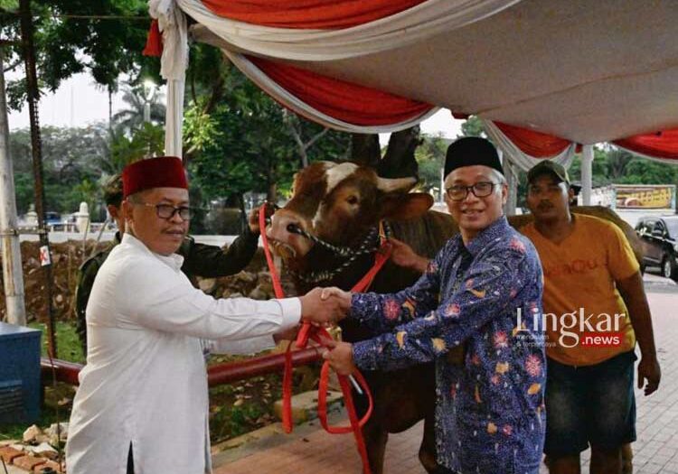 Masjid Istiqlal Terima Sapi Kurban 2 Ton Lebih dari Presiden dan Wapres