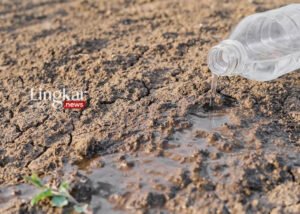 Empat Kapanewon Rawan Kekeringan