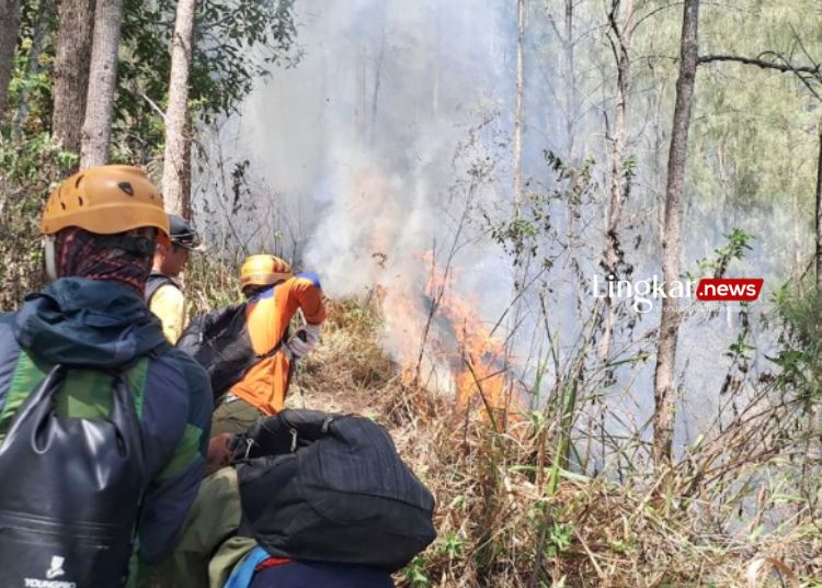 35 Ha Lahan Hutan di Gunung Panderman Terbakar Diduga Akibat Sambaran Petir