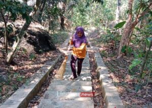 Kisah Pengabdian Tanpa Pamrih Sri Hartini Lestarikan Hutan Ada Wonosadi