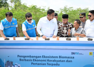 Terus Kembangkan Bahan Co Firing Biomassa PLN Bersama Kementan Luncurkan Model Pertanian Terpadu