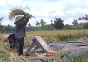 Pemutihan Utang Petani UMKM Wamenkop Usul Pembiayaan Lewat Koperasi