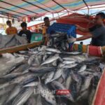 Bantul Siap Jadi Pemasok Ikan untuk Menu Program Makan Bergizi Gratis