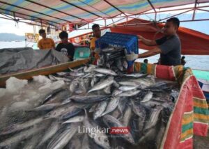 Bantul Siap Jadi Pemasok Ikan untuk Menu Program Makan Bergizi Gratis