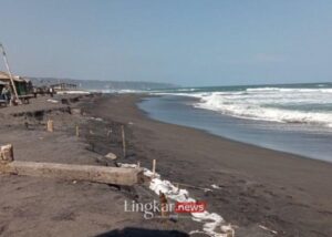 Pantai Kuwaru Bantul Terdampak Abrasi Parah Capai 300 Meter