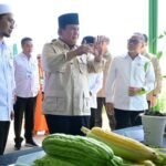 Dihantam Tarif Impor Trump Prabowo Yakin Indonesia Bisa Berdikari 150x150 1