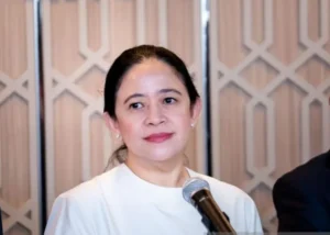puan 5