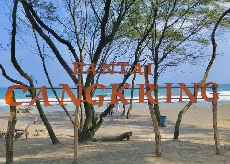 Kenalan Destinasi Wisata Bantul Lewat Pameran Foto di Pantai Cangkring