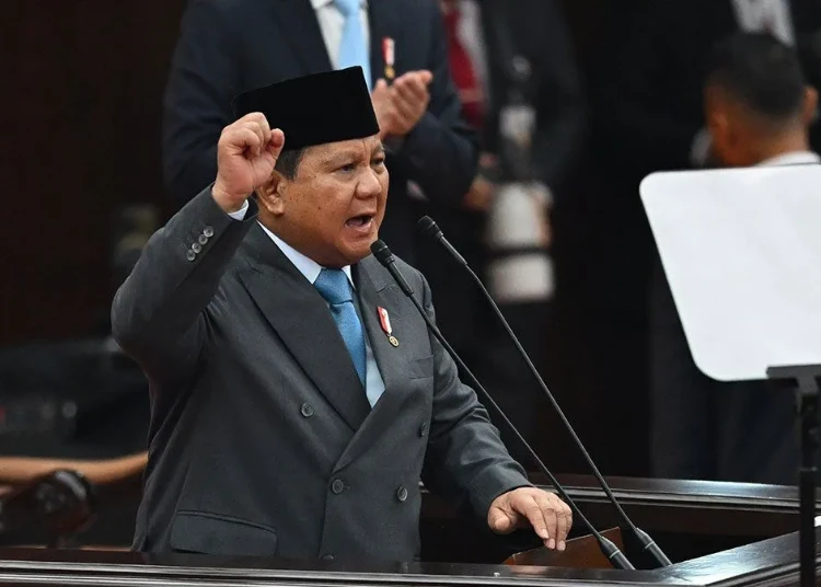 Presiden Prabowo akan tindak tambang ilegal