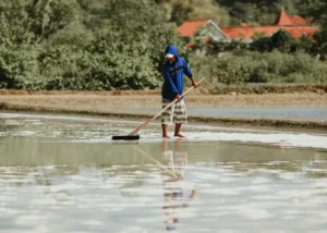 DKP Yogyakarta Terapkan Sistem Tunnel Tingkatkan Produksi Garam Lokal