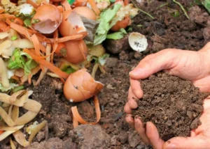 Bupati Bantul Minta Pemdes Alokasikan Anggaran Kelola Sampah Organik