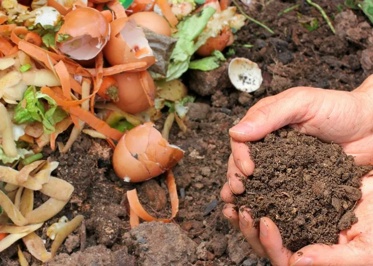 Bupati Bantul Minta Pemdes Alokasikan Anggaran Kelola Sampah Organik