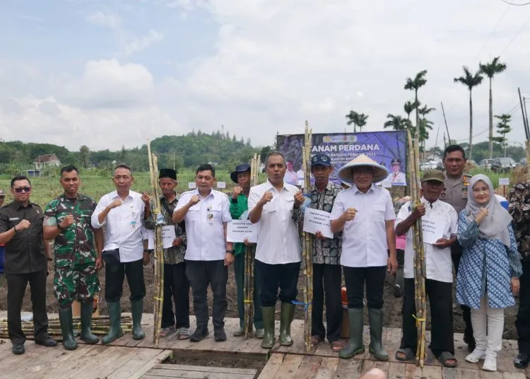 Dukung Swasembada Gula Kelompok Tani di Bantul Perdana Tanam Tebu