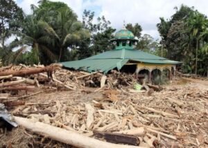 Ketua MPR Soroti Dugaan Pembalakan Liar di Balik Banjir Sumatra