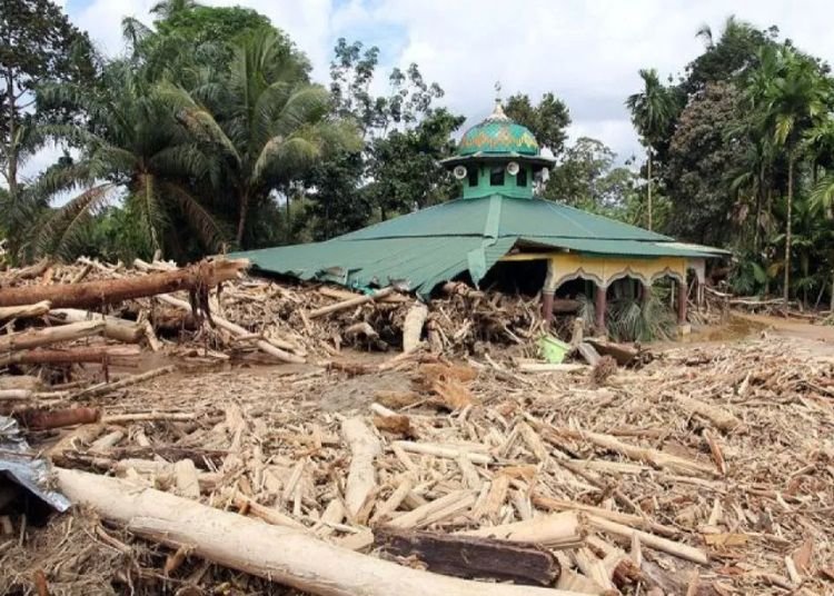 Ketua MPR Soroti Dugaan Pembalakan Liar di Balik Banjir Sumatra