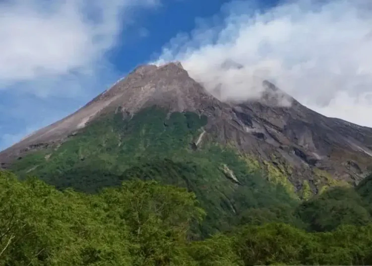 asap-solfatara-gunung-merapi