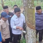 Wamentrans-siap-perjuangkan-pupuk-subsidi-untuk-petani-karet-750x536-1