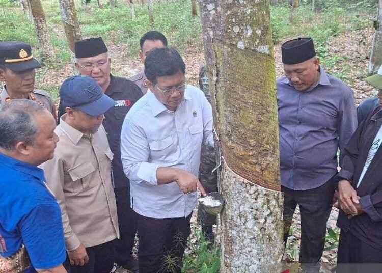 Wamentrans-siap-perjuangkan-pupuk-subsidi-untuk-petani-karet-750x536-1