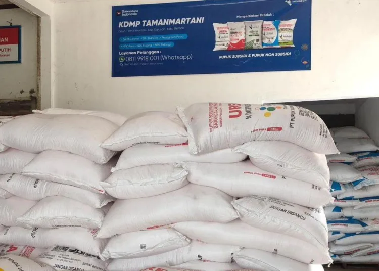 KDMP-Tamanmartani-di-Sleman-pasok-barang-ke-warung-kelontong-750x536-1