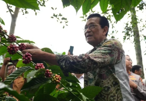 Pemda-DIY-siapkan-bantuan-gerobak-kopi-keliling-dukung-promosi-kopi-750x536-1