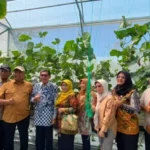 kabar-desa-sinduadi-mlati-kabupaten-sleman-di-yogyakarta-1784985498-206-1