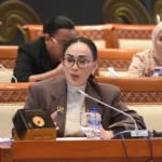 anggota-komisi-i-dpr-ri-amelia-anggraini-750x536-1