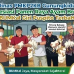 dinas-pmkp2kb-gunungkidul-apresiasi-panen-raya-ayam-broiler-bumkal-giri-puspito-terbah-1787450378-1-750x536-1