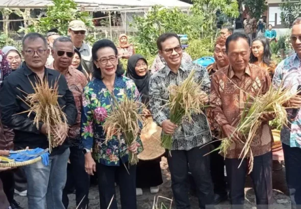 Yogyakarta-optimalkan-keterbatasan-lahan-untuk-pertanian-terpadu-750x536-1