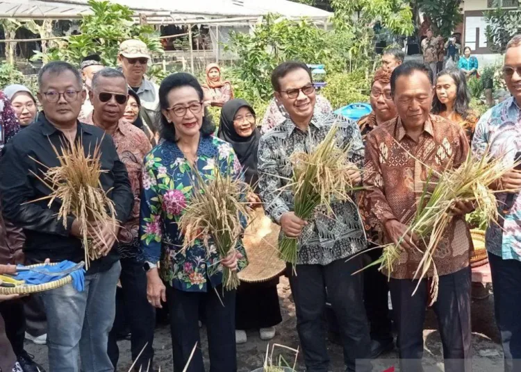 Yogyakarta-optimalkan-keterbatasan-lahan-untuk-pertanian-terpadu-750x536-1