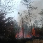 ancaman-di-musim-kemarau-analisis-kebakaran-lahan-kas-desa-dan-upaya-mitigasi-bencana-di-kalurahan-merdikorejo-1790770460-1-750x536-1