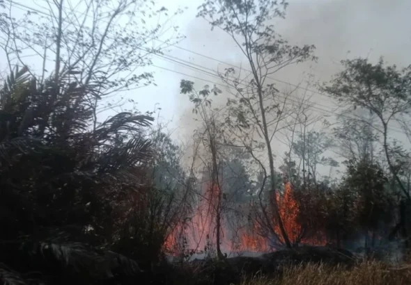 ancaman-di-musim-kemarau-analisis-kebakaran-lahan-kas-desa-dan-upaya-mitigasi-bencana-di-kalurahan-merdikorejo-1790770460-1-750x536-1