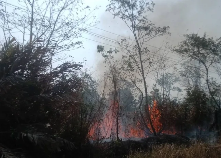 ancaman-di-musim-kemarau-analisis-kebakaran-lahan-kas-desa-dan-upaya-mitigasi-bencana-di-kalurahan-merdikorejo-1790770460-1-750x536-1