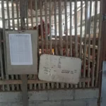 delapan-bulan-menanti-bumkal-lumbung-sejahtera-mulai-memetik-hasil-dari-ayam-petelur-omega-1788785688-1-750x536-1