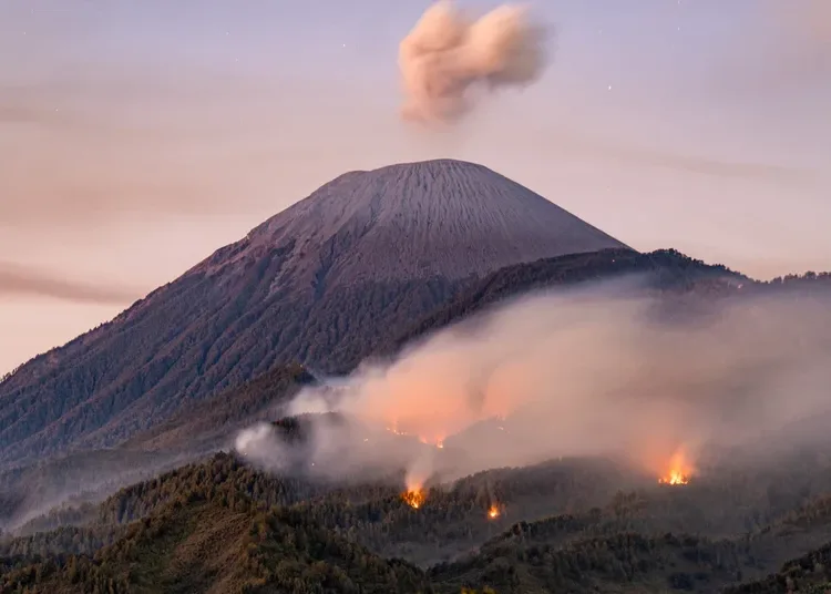 kebakaran-di-kawasan-pendakian-semeru-750x536-1