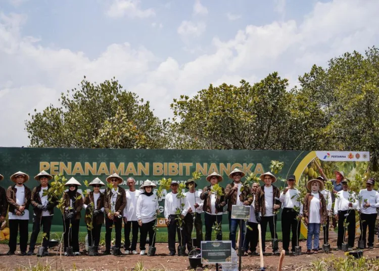 Pertamina-gelar-panen-raya-nangka-perkuat-ekonomi-desa-di-Gunungkidul-750x536-1