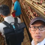dampak-program-ketapang-ayam-petelur-ngestiharjo-1791584549-2-750x536-1