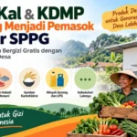 peluang-bumkal-dan-kdmp-menjadi-pemasok-dapur-sppg-saatnya-produk-lokal-masuk-rantai-pasok-makan-bergizi-gratis-1791629464-1-750x536-1